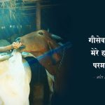 गौशाला, गौसेवा, बापूजी का अभियान, भारतीय संस्कृति