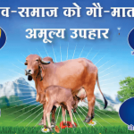 sant-shri-asharamji-gaushala-khanpur-ludhiana-animal-shelters-vsngl1anr1